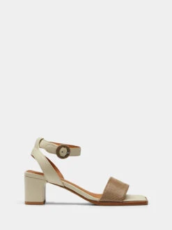 Scotch & Soda Courtney Sandal -Femme Feet TInVB3KXWt8GyS 1 CutATwD4 47929.1710760394